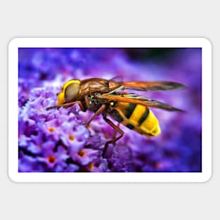 Busy Bee Sticker